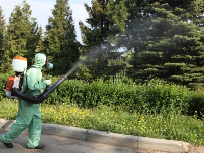 Уничтожение комаров в Красногорске